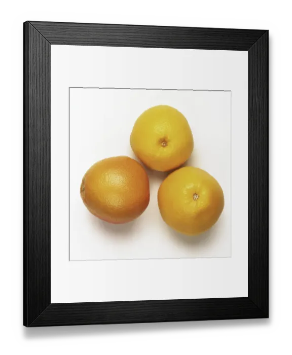 Framed Print : Three grapefruits, close up Framed Print : Three grapefruits, close up
