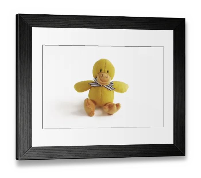 Framed Print : Cuddly toy duck Framed Print : Cuddly toy duck