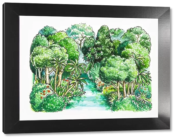Illustration of of river in tropical rainforest