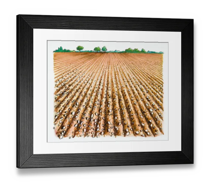 Framed Print : Illustration of furrows in plowed field Framed Print : Illustration of furrows in plowed field