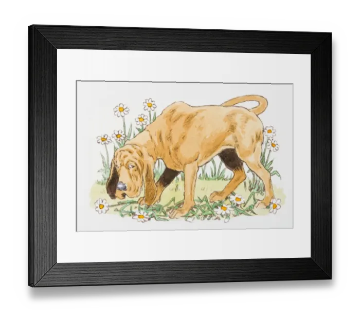 Framed Print : Illustration of Bloodhound with guilty facial expression standing on flowers Framed Print : Illustration of Bloodhound with guilty facial expression standing on flowers