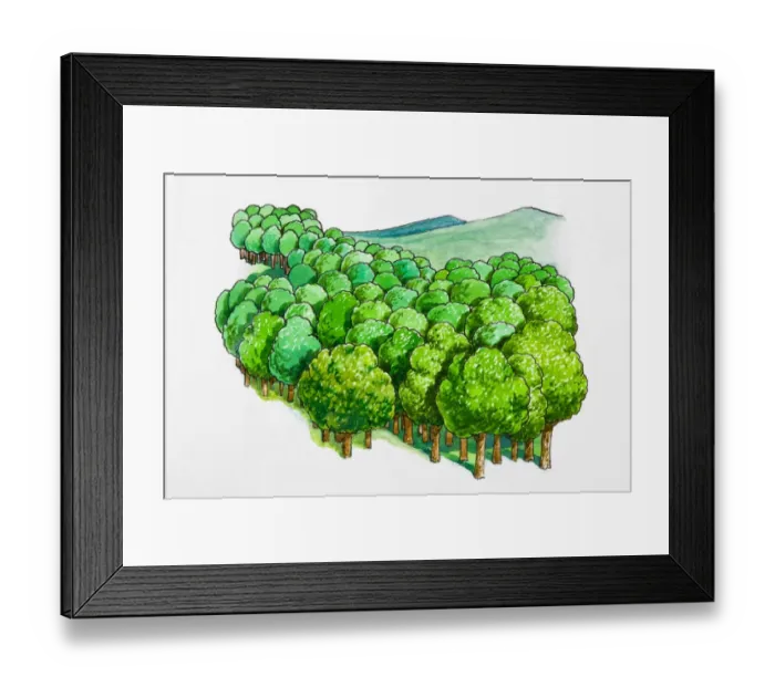 Framed Print : A forest with green hills in background Framed Print : A forest with green hills in background