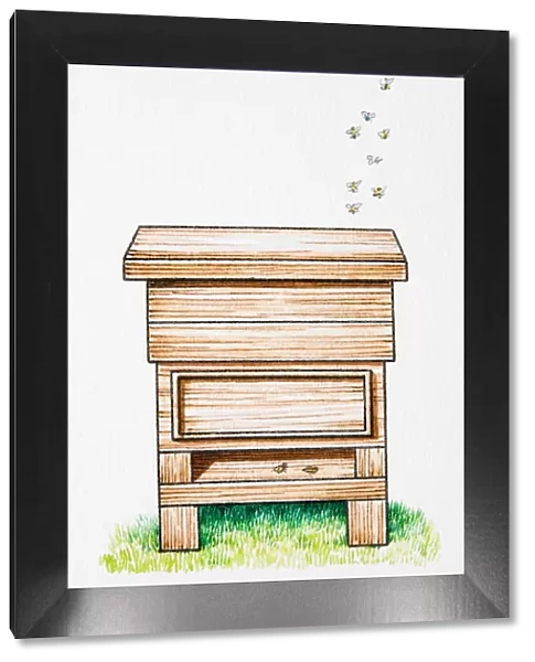 Bees above wooden beehive