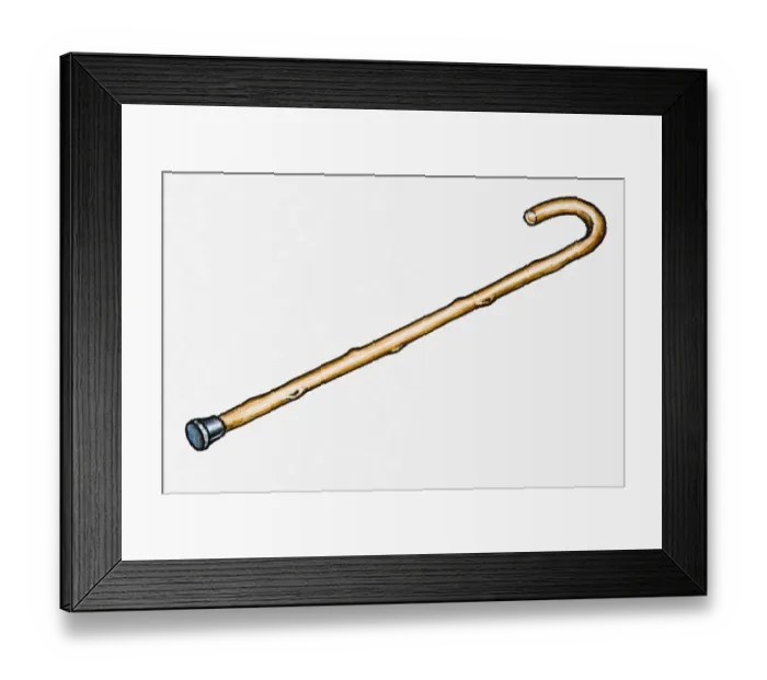 Framed Print : Walking stick Framed Print : Walking stick