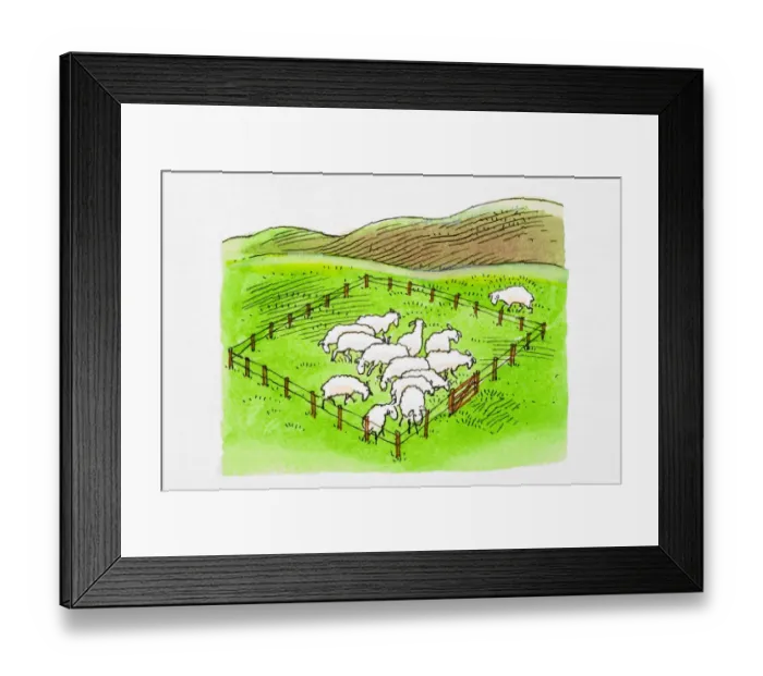 Framed Print : Sheep in enclosure, single sheep outside Framed Print : Sheep in enclosure, single sheep outside