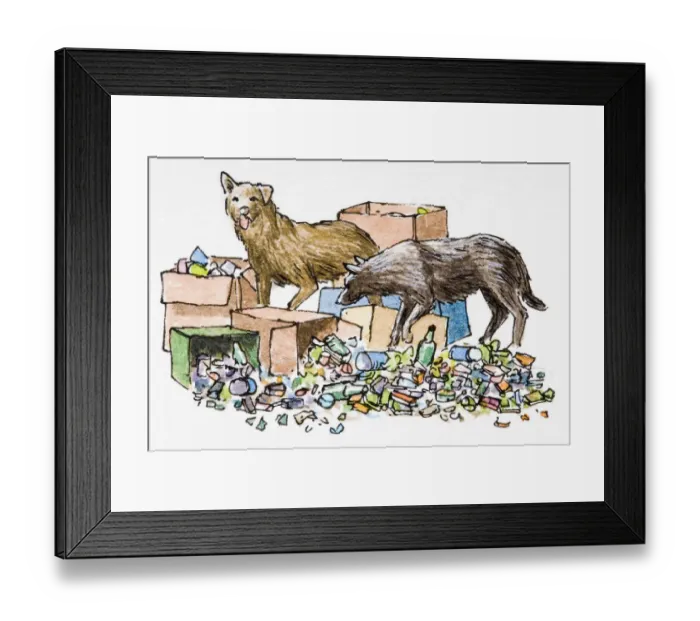 Framed Print : Dogs scavenging among rubbish Framed Print : Dogs scavenging among rubbish