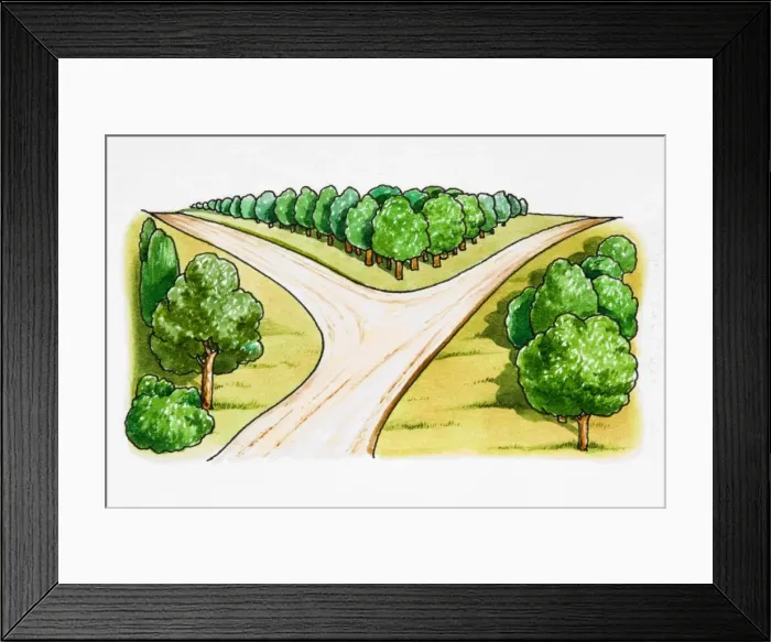 Framed Print : Road forking Framed Print : Road forking