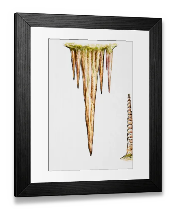 Framed Print : Example of stalactite Framed Print : Example of stalactite