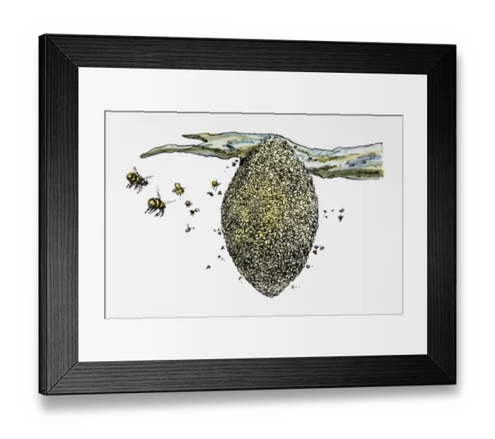 Framed Print : Wasps flying around nest Framed Print : Wasps flying around nest
