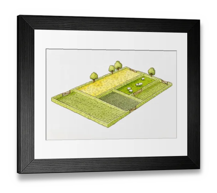 Framed Print : Agricultural land divided into separate fields, sheep grazing Framed Print : Agricultural land divided into separate fields, sheep grazing