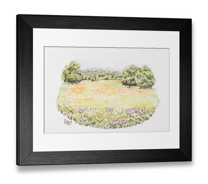 Framed Print : Illustration of butterflies and abundance of wildflowers in meadow Framed Print : Illustration of butterflies and abundance of wildflowers in meadow
