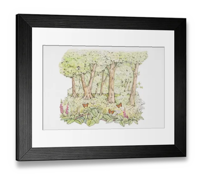 Framed Print : Illustration of orange butterflies perching on flowers on forest floor Framed Print : Illustration of orange butterflies perching on flowers on forest floor
