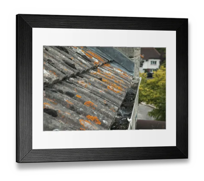 Framed Print : Tiled roof, clogged guttering, orange lichen growth on tiles