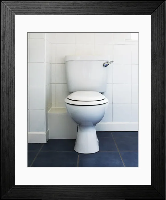 Framed Print : White toilet Framed Print : White toilet