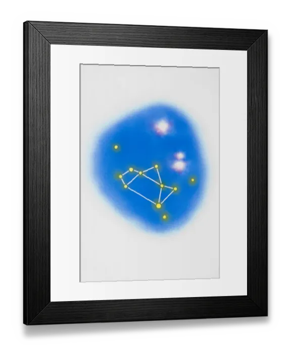 Framed Print : Sagittarius Framed Print : Sagittarius