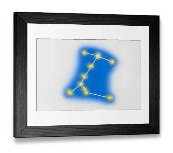 Framed Print : Canis major Framed Print : Canis major