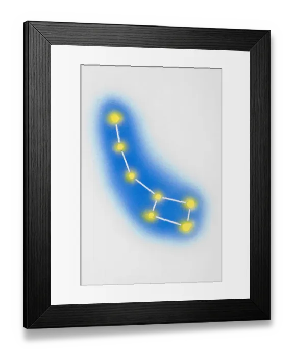 Framed Print : Ursa major Framed Print : Ursa major