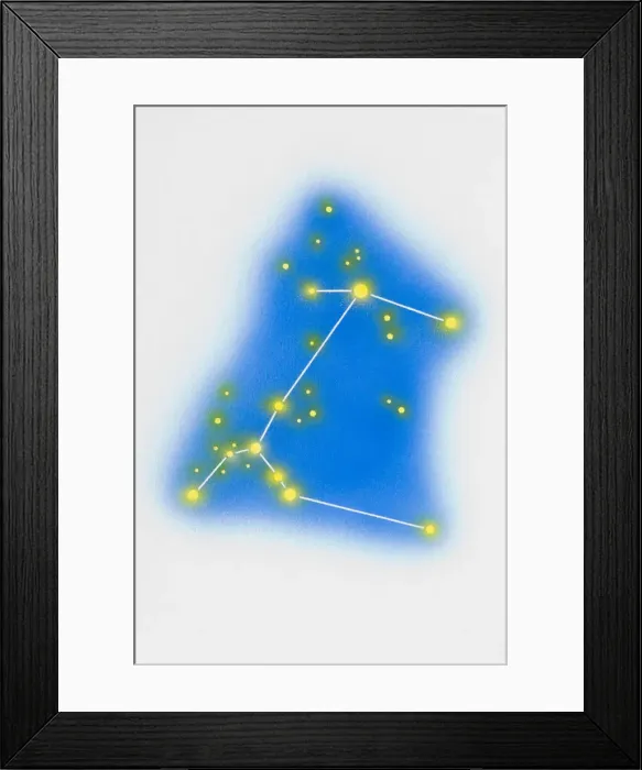 Framed Print : Canis major Framed Print : Canis major