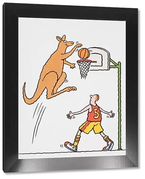 Kangaroo scoring at basketball