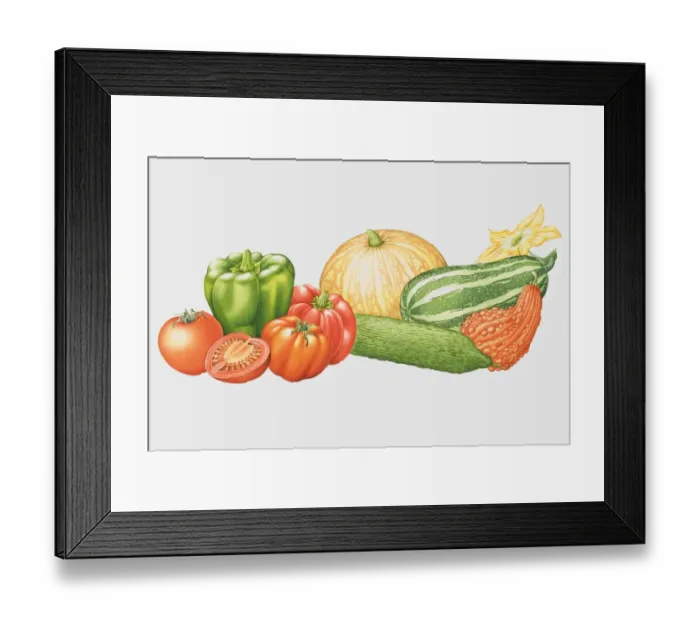 Framed Print : Selection of vegetables Framed Print : Selection of vegetables
