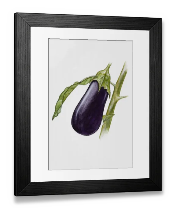 Framed Print : Aubergine Framed Print : Aubergine