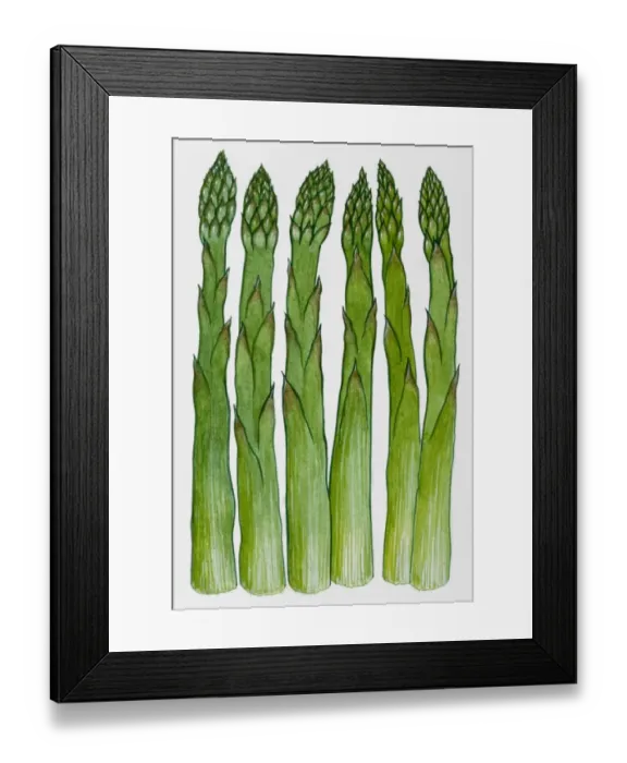 Framed Print : Asparagus Framed Print : Asparagus