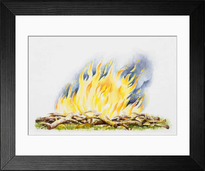Framed Print : Wood burning outdoors Framed Print : Wood burning outdoors