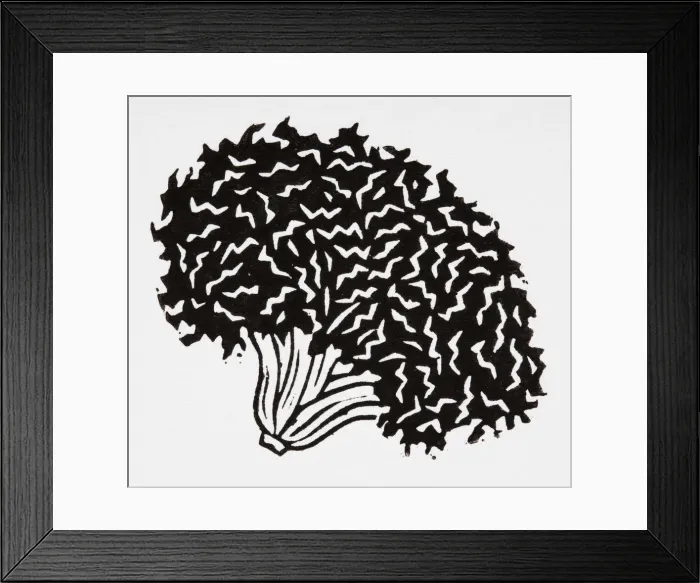 Framed Print : Black and white illustration of curly lettuce head Framed Print : Black and white illustration of curly lettuce head