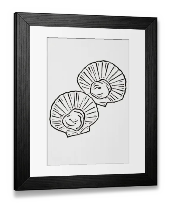 Framed Print : Black and white illustration of scallops