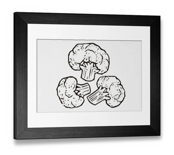 Framed Print : Black and white illustration of cauliflower florets Framed Print : Black and white illustration of cauliflower florets
