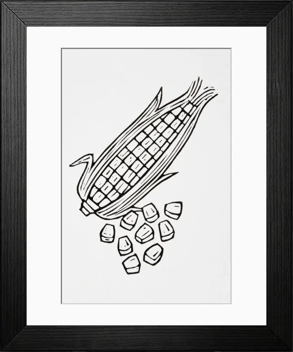 Framed Print : Black and white illustration of sweetcorn Framed Print : Black and white illustration of sweetcorn