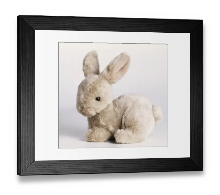 Framed Print : Rabbit cuddly toy Framed Print : Rabbit cuddly toy
