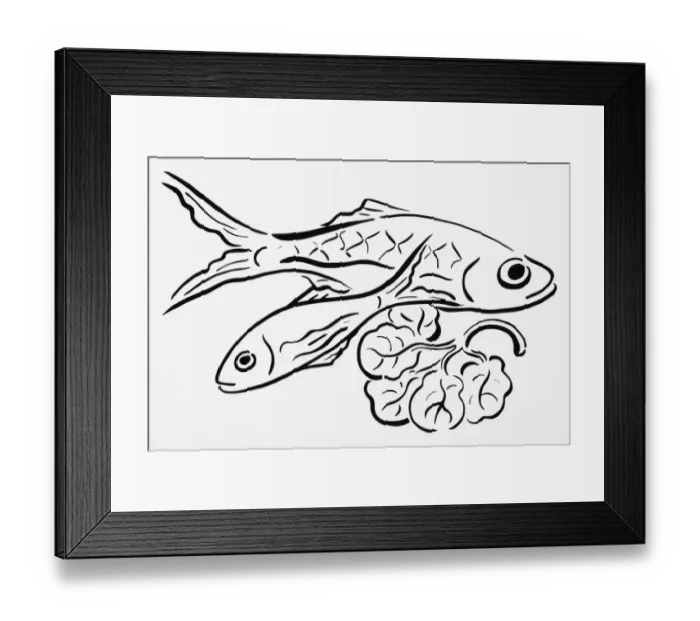 Framed Print : Simple line drawing of freshly caught fish, and lettuce leaf Framed Print : Simple line drawing of freshly caught fish, and lettuce leaf