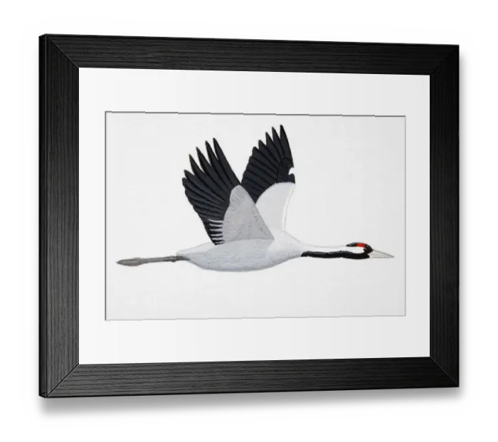 Framed Print : Crane (Grus grus), adult Framed Print : Crane (Grus grus), adult