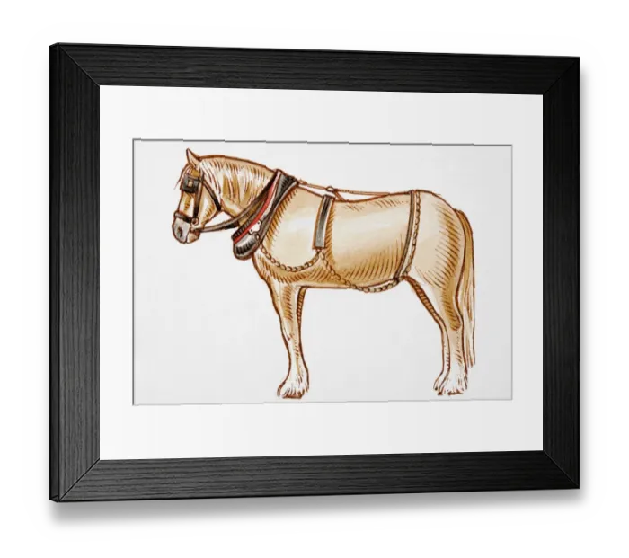 Framed Print : Carriage horse wearing harness Framed Print : Carriage horse wearing harness