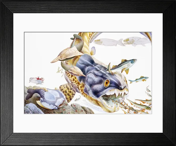 Framed Print : Prehistoric fish in ocean Framed Print : Prehistoric fish in ocean