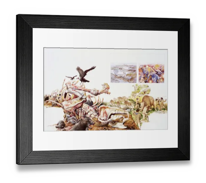 Framed Print : Vultures, buzzard and wild animals feeding on carcasses Framed Print : Vultures, buzzard and wild animals feeding on carcasses