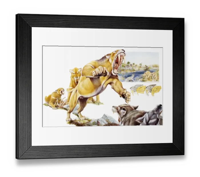 Framed Print : Saber-toothed cat attacking wolves Framed Print : Saber-toothed cat attacking wolves