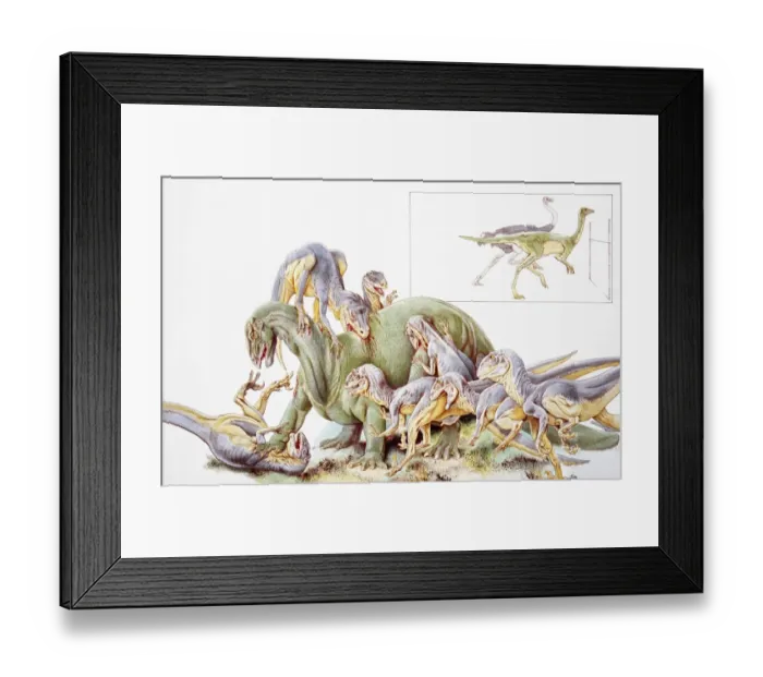 Framed Print : Deinonychus antirrhopus, large group violently attacking larger dinosaur Framed Print : Deinonychus antirrhopus, large group violently attacking larger dinosaur