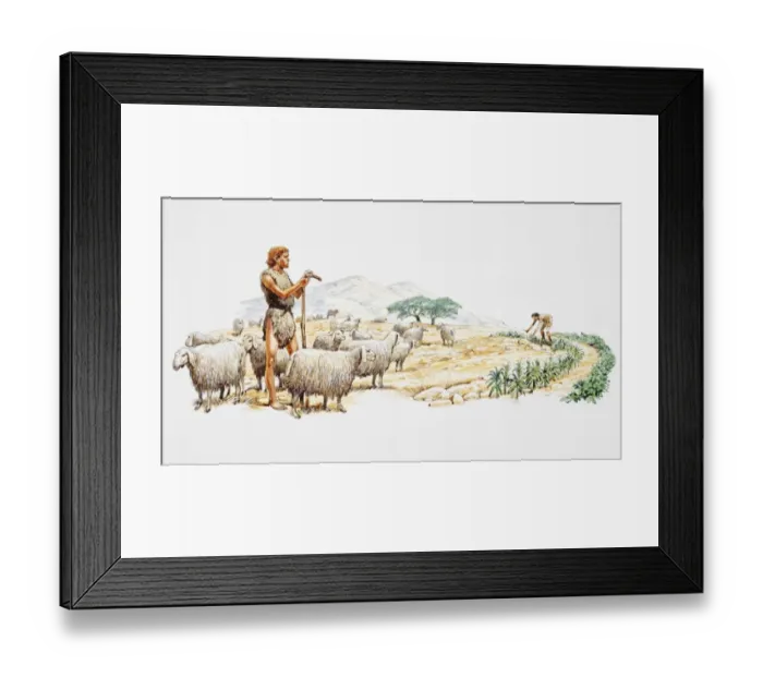 Framed Print : Early man tending to flock of sheep, tending to crops Framed Print : Early man tending to flock of sheep, tending to crops