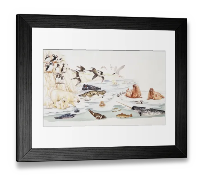 Framed Print : Selection of marine and arctic wildlife Framed Print : Selection of marine and arctic wildlife