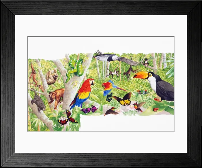 Framed Print : Colorful selection of tropical animals, birds, and insects Framed Print : Colorful selection of tropical animals, birds, and insects