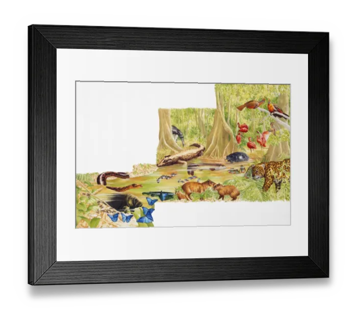 Framed Print : Selection of jungle and marine life Framed Print : Selection of jungle and marine life