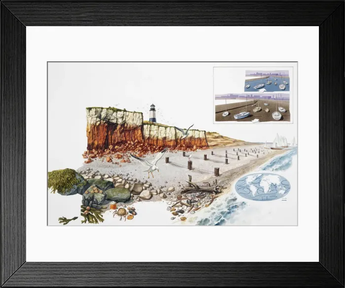 Framed Print : Coastline showing cliffs, beach, lighthouse, wildlife and waters edge Framed Print : Coastline showing cliffs, beach, lighthouse, wildlife and waters edge