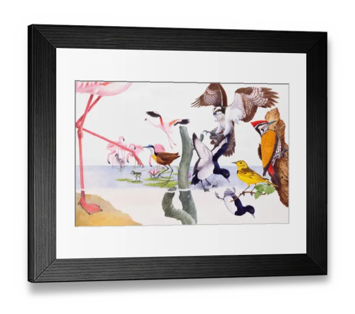 Framed Print : Colorful group of birds Framed Print : Colorful group of birds