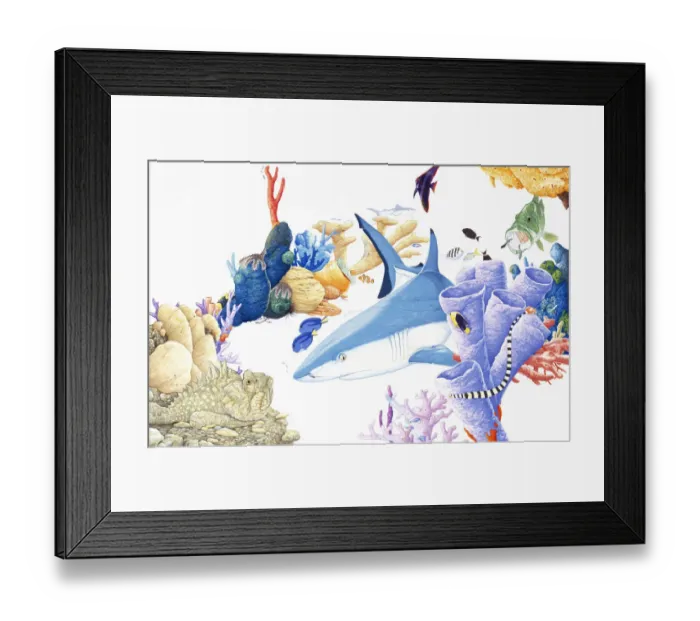 Framed Print : Shark on ocean bed, surrounded by marine life Framed Print : Shark on ocean bed, surrounded by marine life