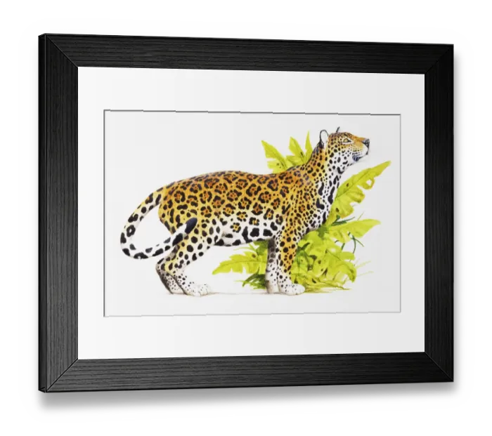 Framed Print : Jaguar (Panthera onca) standing near green foliage Framed Print : Jaguar (Panthera onca) standing near green foliage