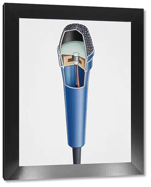 Microphone, showing cutaway cross-section