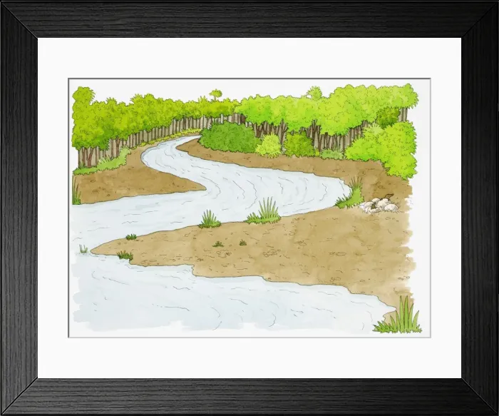 Framed Print : Meandering stream with tree-lined bank Framed Print : Meandering stream with tree-lined bank
