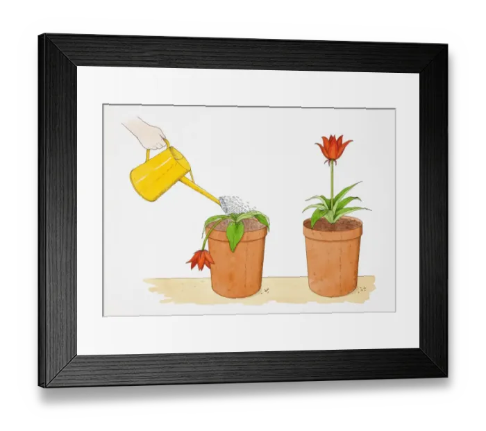 Framed Print : Straight-stemmed red flower growing in terracotta pot, identical potted flower droopingly wilting being watered with yellow watering can Framed Print : Straight-stemmed red flower growing in terracotta pot, identical potted flower droopingly wilting being watered with yellow watering can